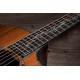 CHITARA ELECTRO-ACUSTICA TAYLOR PS14ce