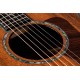 CHITARA ELECTRO-ACUSTICA TAYLOR PS14ce