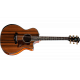 Chitara Electro-Acustica Premium Taylor PS14ce Seria Presentation