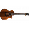 Chitara Electro-Acustica Premium Taylor PS14ce Seria Presentation