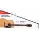 CHITARA ACUSTICA FENDER FA-125 DREAD PACK