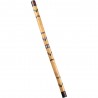 Didgeridoo Bambus Pictat Meinl DDG1-BR