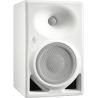 Monitor Studio Neumann KH 150W EU