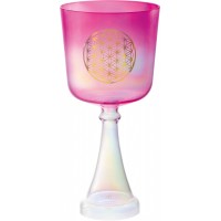 CRYSTAL CHALICE MEINL CSC6FPFOL