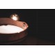 CRYSTAL SINGING BOWL MEINL HD12AB