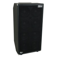 CABINET CHITARA BASS KUSTOM DE810H