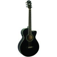 Chitara Electro-acustica Washburn EA10B