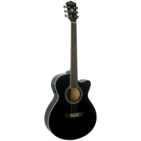 Chitara Electro-Acustica Washburn EA 12B