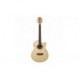 CHITARA ELECTRO-ACUSTICA WASHBURN EA 20