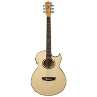 CHITARA ELECTRO-ACUSTICA WASHBURN EA 20