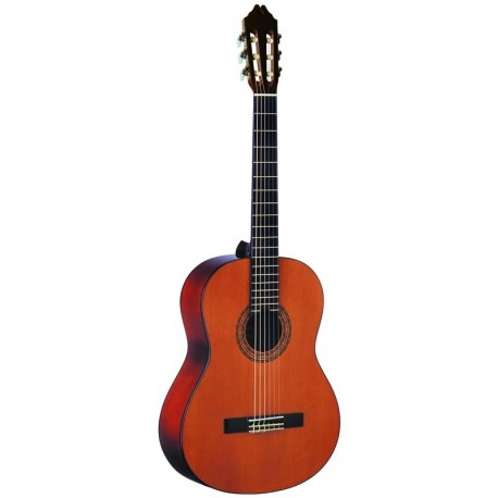 Chitara Clasica Washburn C5