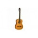 Chitara Clasica Washburn C40