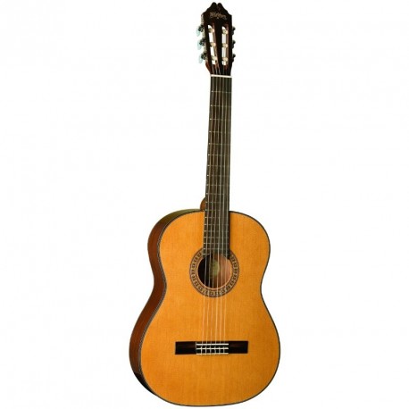 Chitara Clasica Washburn C40