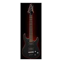 CHITARA ELECTRICA WASHBURN RX6B