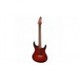 Chitara Electrica Washburn RX20 FWSB