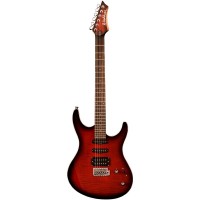 Chitara Electrica Washburn RX20 FWSB