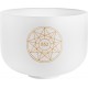 Crystal Singing Bowl Sonic Energy Solfeggio Meinl SOLCSB10-852
