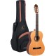 Chitara Clasica Ortega R180