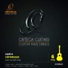 Corzi Guitarlele Ortega GLNY-6
