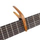 CAPODASTRU ORTEGA TWCAPO-WND