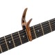 CAPODASTRU ORTEGA TWCAPO-WND