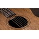 CHITARA ELECTRO-ACUSTICA TAYLOR Academy 22e