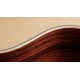 CHITARA ELECTRO-ACUSTICA TAYLOR GS Mini-e Rosewood Plus