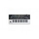 SINTETIZATOR ROLAND GAIA SH-01