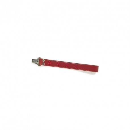 CUREA ACORDEON HOHNER AZ 7001