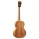 UKULELE MARTIN GUITARS T1 UKE