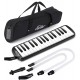 MELODICA EASTAR EB006