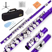 Kit Flaut Eastar EB019 16 note EFL-1PU Purple