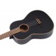 CHITARA CLASICA ORTEGA R221BK