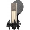 Microfon Studio Donner EC2802 - DC-87 XLR Condenser