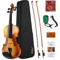 Set Vioara Acustica Eastar 4/4 EVA-330