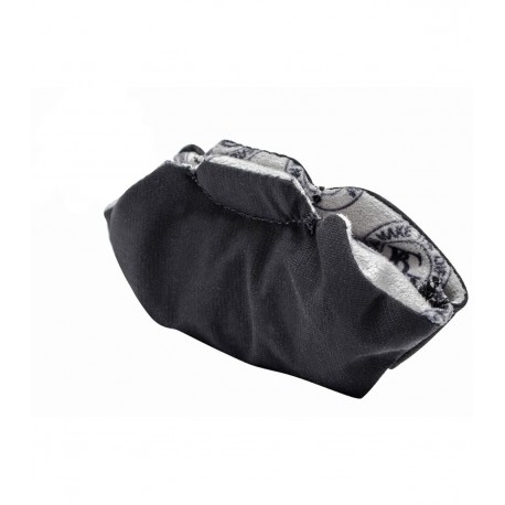 CARPA BG FRANCK BICHON AV65