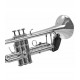 CARPA BG FRANCK BICHON AV65