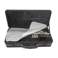 PROTECTIE SAXOFON BG FRANCK BICHON A66T
