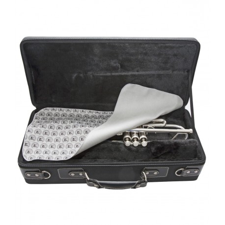PROTECTIE SAXOFON BG FRANCK BICHON A66T