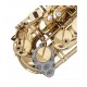 SET CURATARE BG FRANCK BICHON CPSA