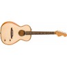 Chitara Electro-Acustica Fender Highway Series Parlor, Molid Natural