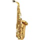 SAXOFON ALTO YAMAHA YAS875EX05