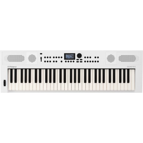 SINTETIZATOR ROLAND GO:KEYS