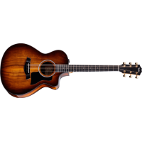 CHITARA ELECTRO-ACUSTICA TAYLOR 222ce-K DLX