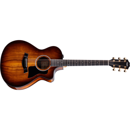 CHITARA ELECTRO-ACUSTICA TAYLOR 222ce-K DLX