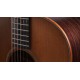 CHITARA ELECTRO-ACUSTICA TAYLOR 717e WHB