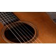 CHITARA ELECTRO-ACUSTICA TAYLOR 717e WHB