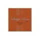 COARDA CHITARA ACUSTICA PHILIPPE BOSSET PBACP045W