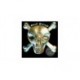 CORZI CHITARA ELECTRICA SKULL SKUDC1158