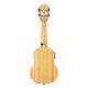 UKULELE SOPRANO CASCHA HH 2312E